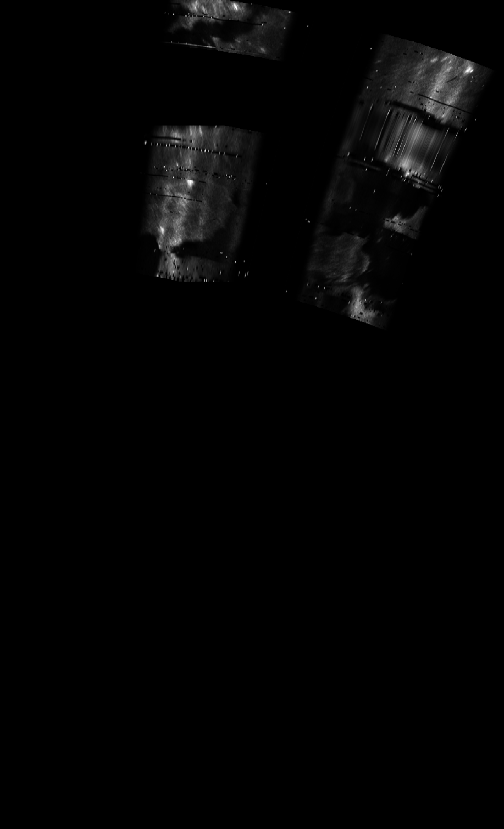 ascat_grayscale_proj_downward.png
